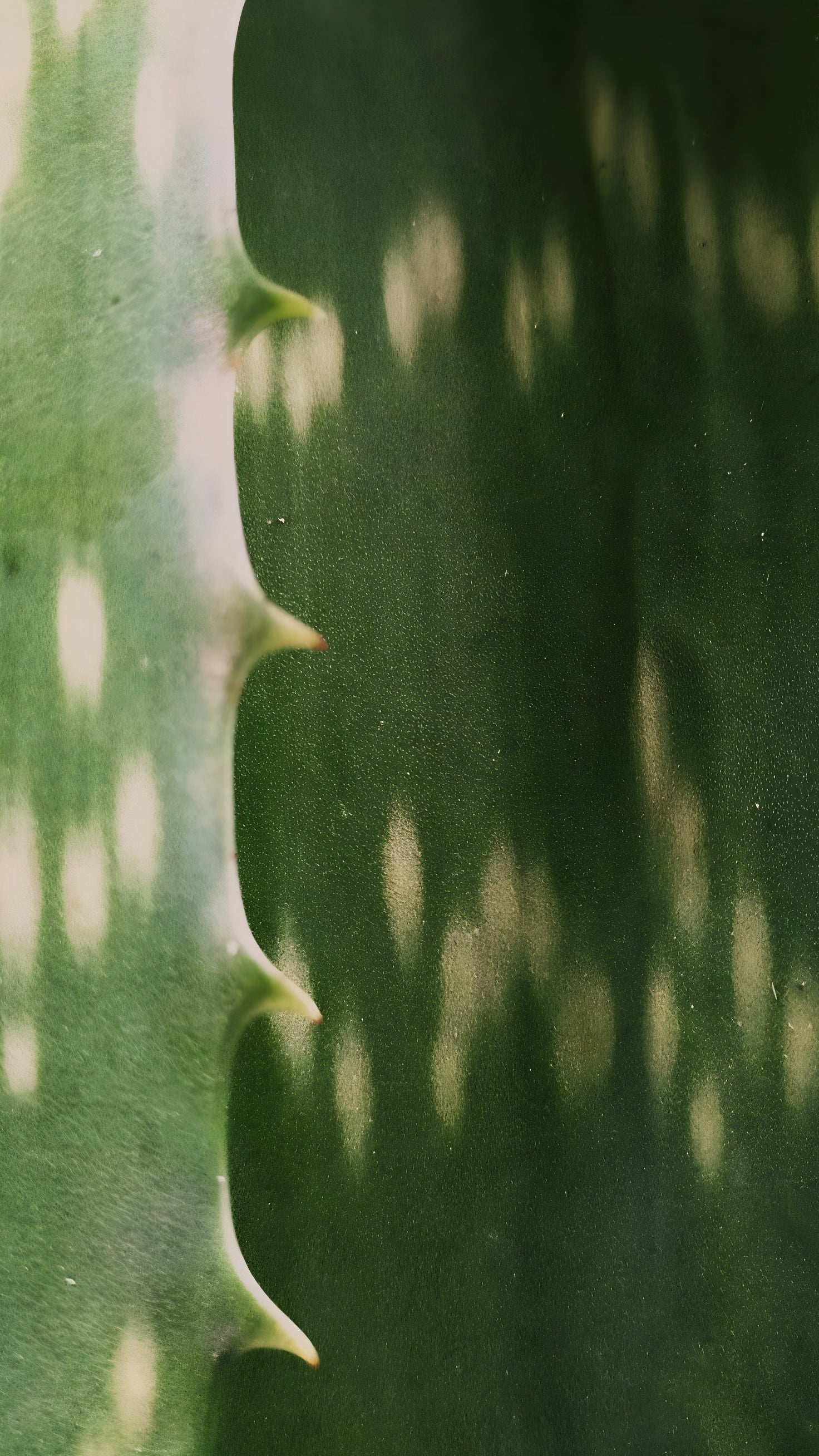 <p>ejercicios para <em>vivir</em><br/>{te} más <em>bonito</em>_:</p>