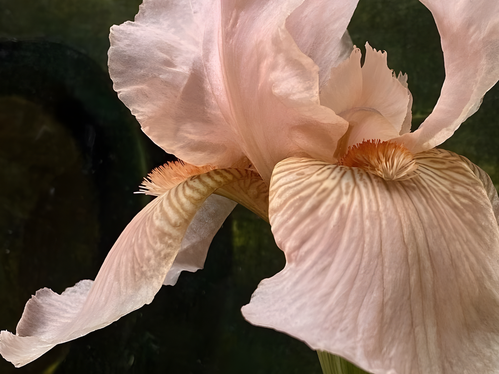 Imagen del perfil eróticamente autonoma