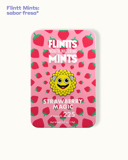 Kit Cartógrafa con Hambre de Novedad