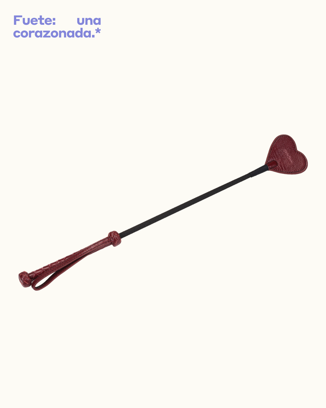 Kit Cartógrafa con Hambre de Novedad