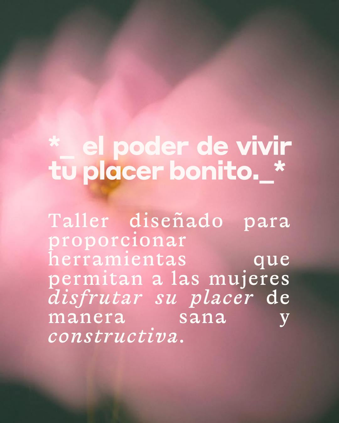 El Camino Vivir Un Placer Bonito