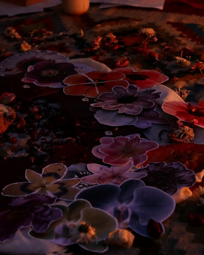 El Camino Vivir Un Placer Bonito